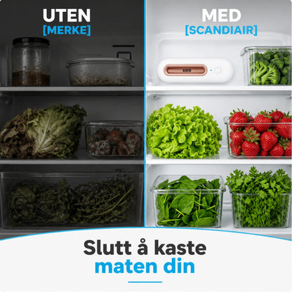 ScandiFridge™ - Holder maten fersk opptil 4 ganger lenger & reduserer matutgiftene dine