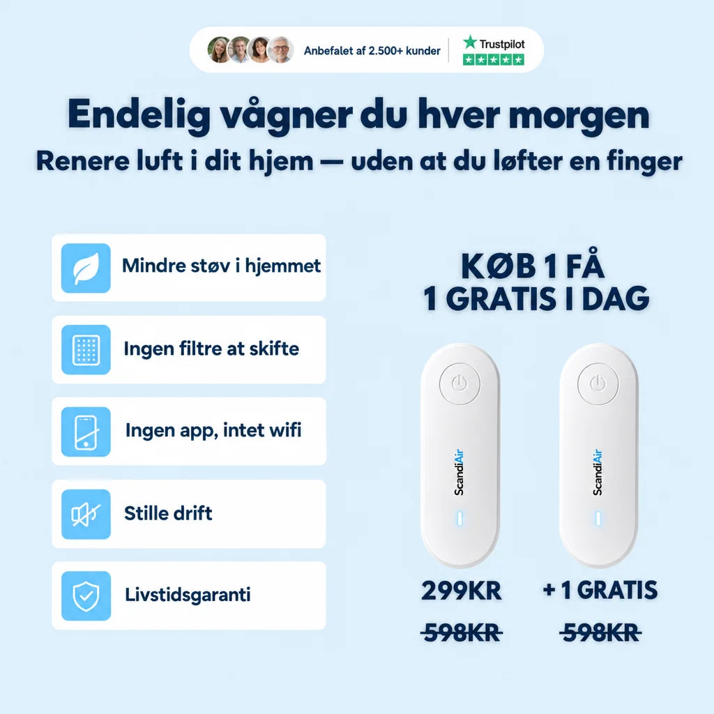 ScandiAir – Giv familien renere luft og et sundere hjem